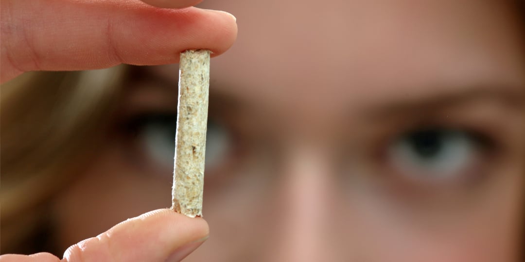 yeux femme granulés de bois pellets