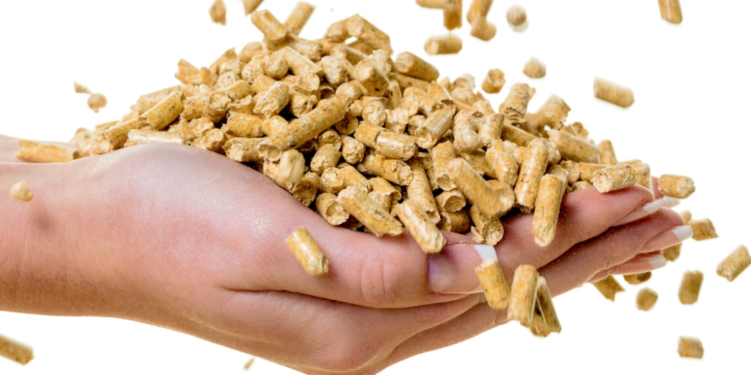 granulés pellets